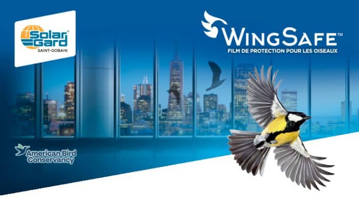 Film anti-collision d'oiseaux Solar Gard® Wing Safe™